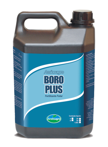 Boro Plus - 0